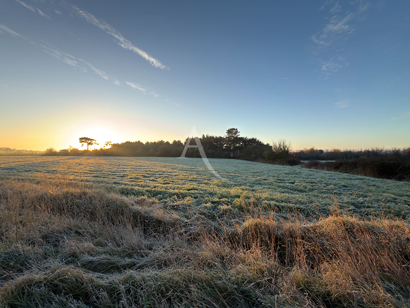 Terrain Saint Gilles Croix De Vie 302 m2