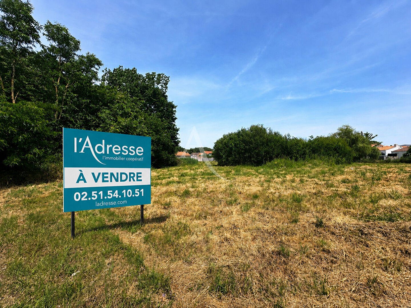 Agence immobilière de L'ADRESSE  IMMO 2000 - L'ADRESSE IMMO 2000 Transaction