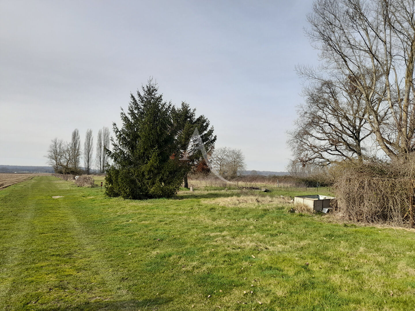 Photo En vente COURS-LES-BARRES  - MAISON DE PLAIN-PIED AVEC TERRAIN ET GARAGE - image 4/6