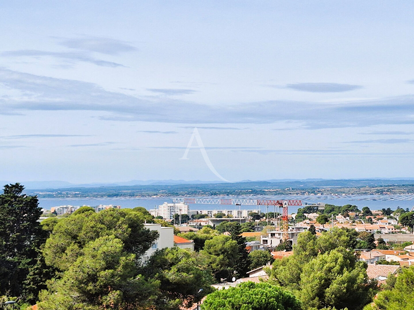 Agence immobilière de L'Adresse  - AGENCE LA CORNICHE - L'ADRESSE - AGENCE LE DAUPHIN