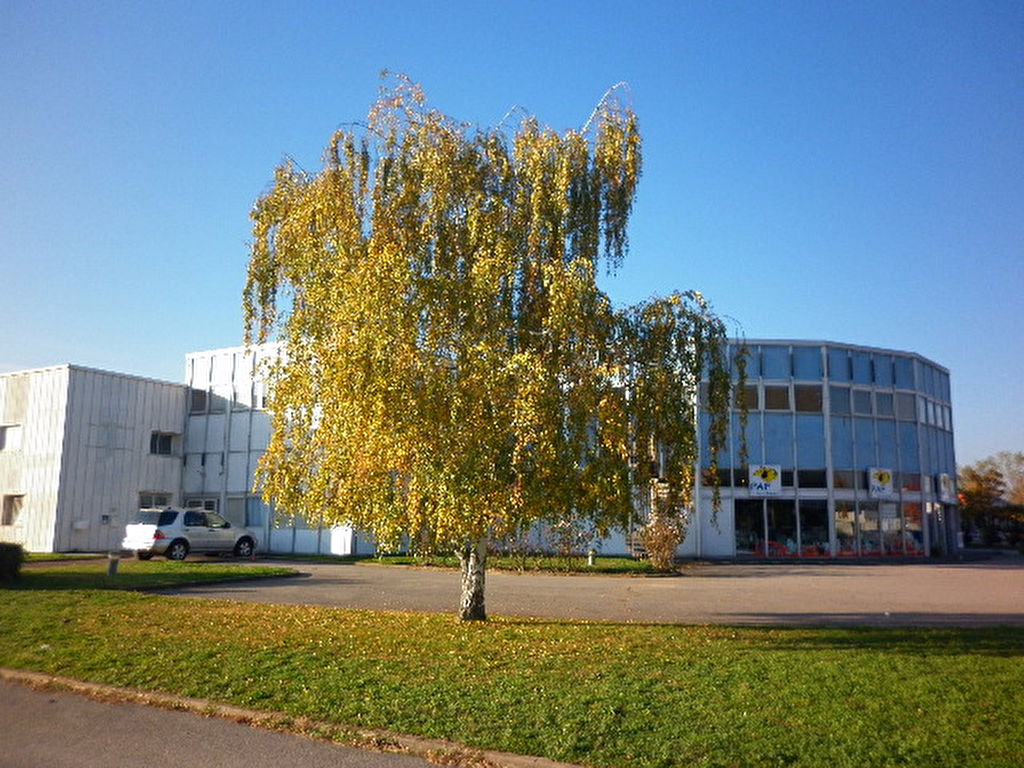 Photo Bureaux Chatenoy Le Royal 175 m2 image 2/6