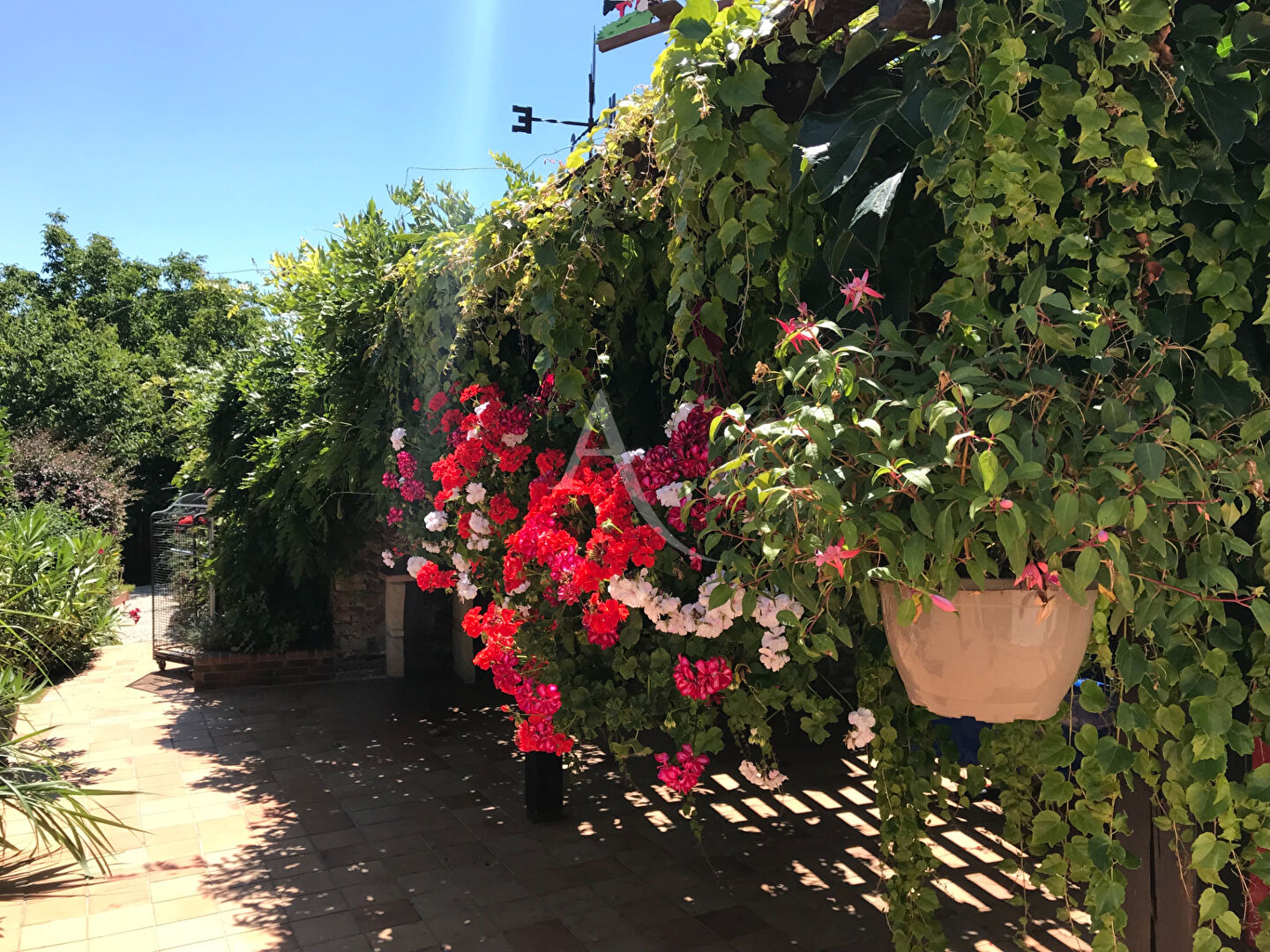 Photo Maison Vaire 10 pièces - 231 m² image 2/6