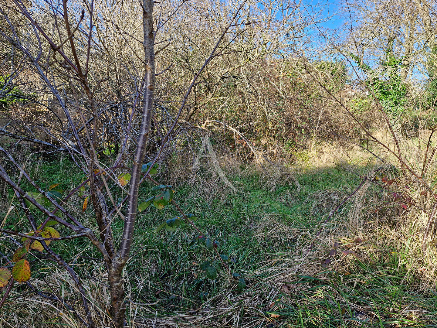 Photo À Yerres, un Terrain de 800 m² image 2/3