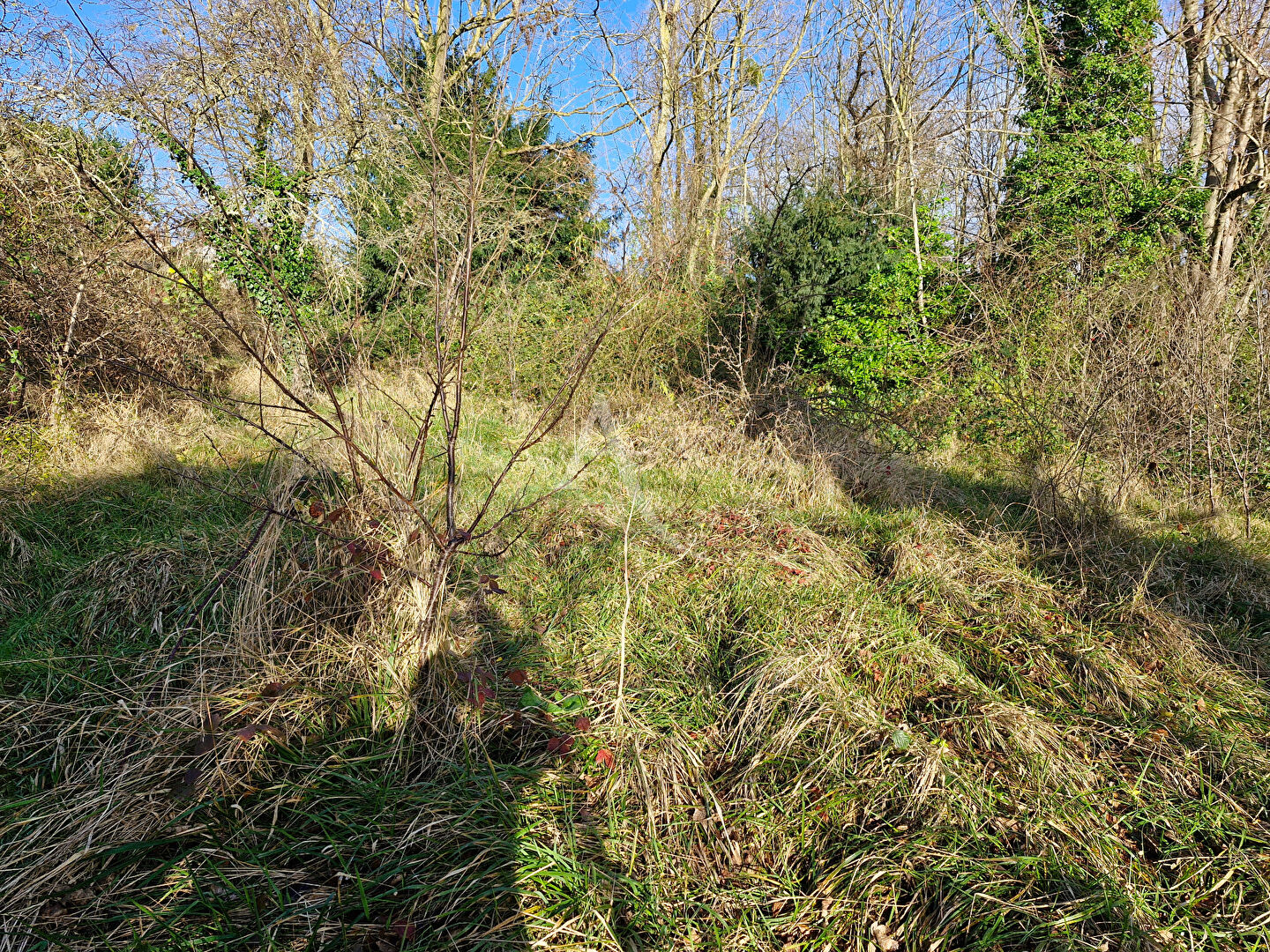 Photo À Yerres, un Terrain de 800 m² image 3/3