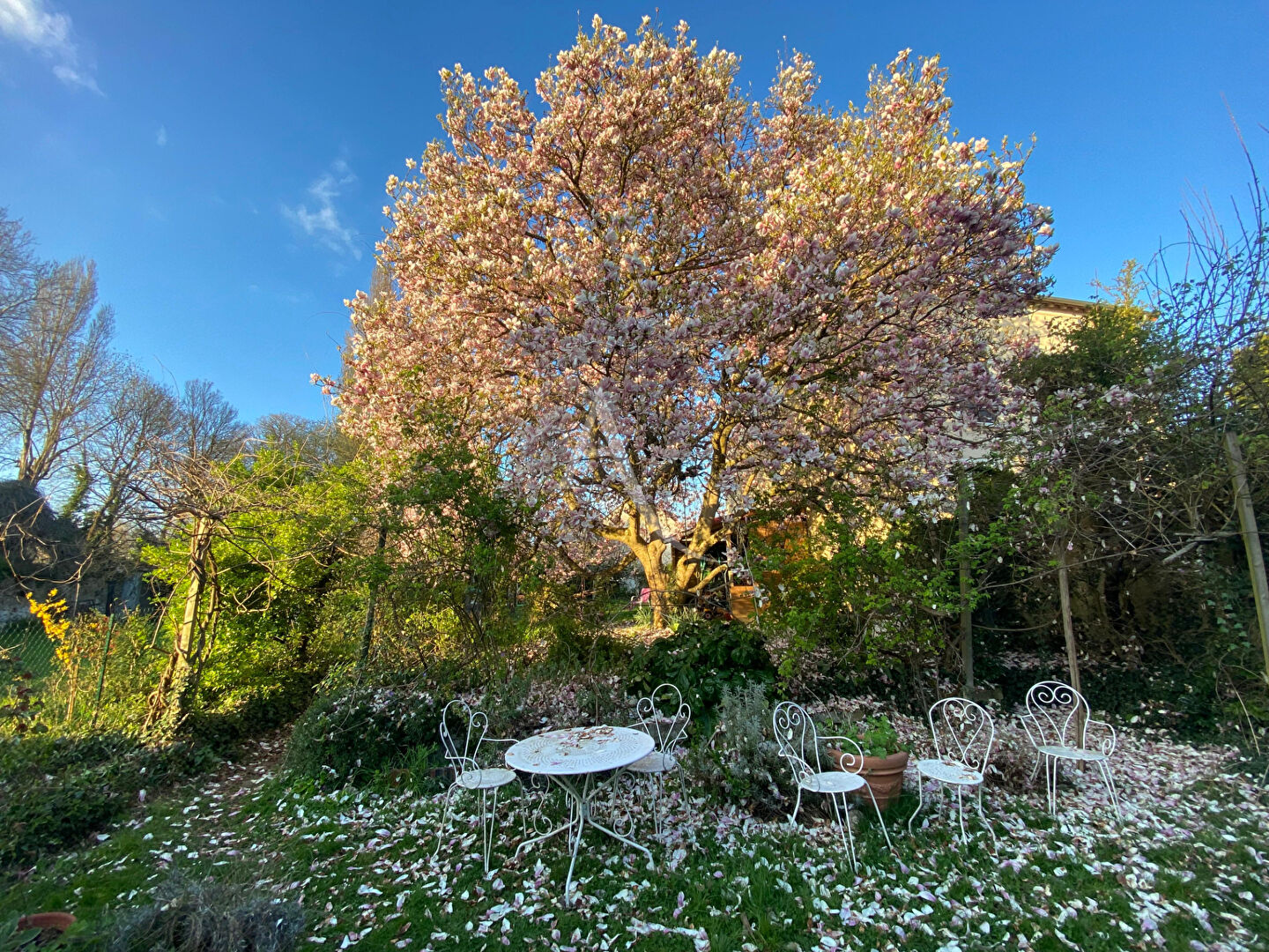 Agence immobilière de L'Adresse Agence de la Venerie Yerres - Agence de la Venerie Montgeron