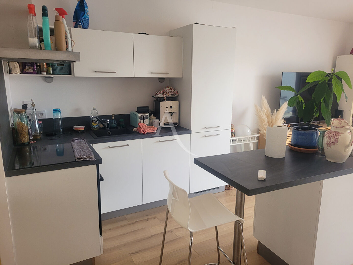 Agence immobilière de L'Adresse DYNAMIC IMMOBILIER - DYNAMIC IMMOBILIER