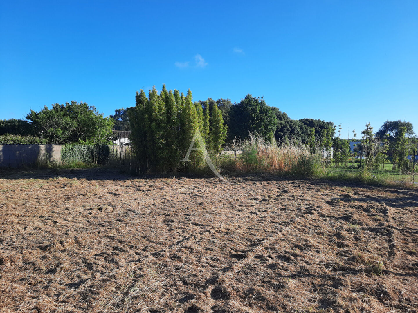 Photo Terrain Les Sables D Olonne image 3/4