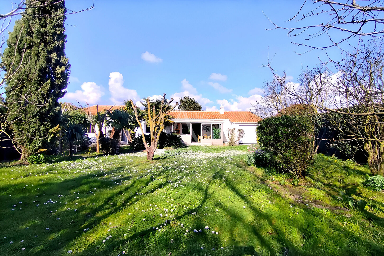 Agence immobilière de L'Adresse DYNAMIC IMMOBILIER - DYNAMIC IMMOBILIER