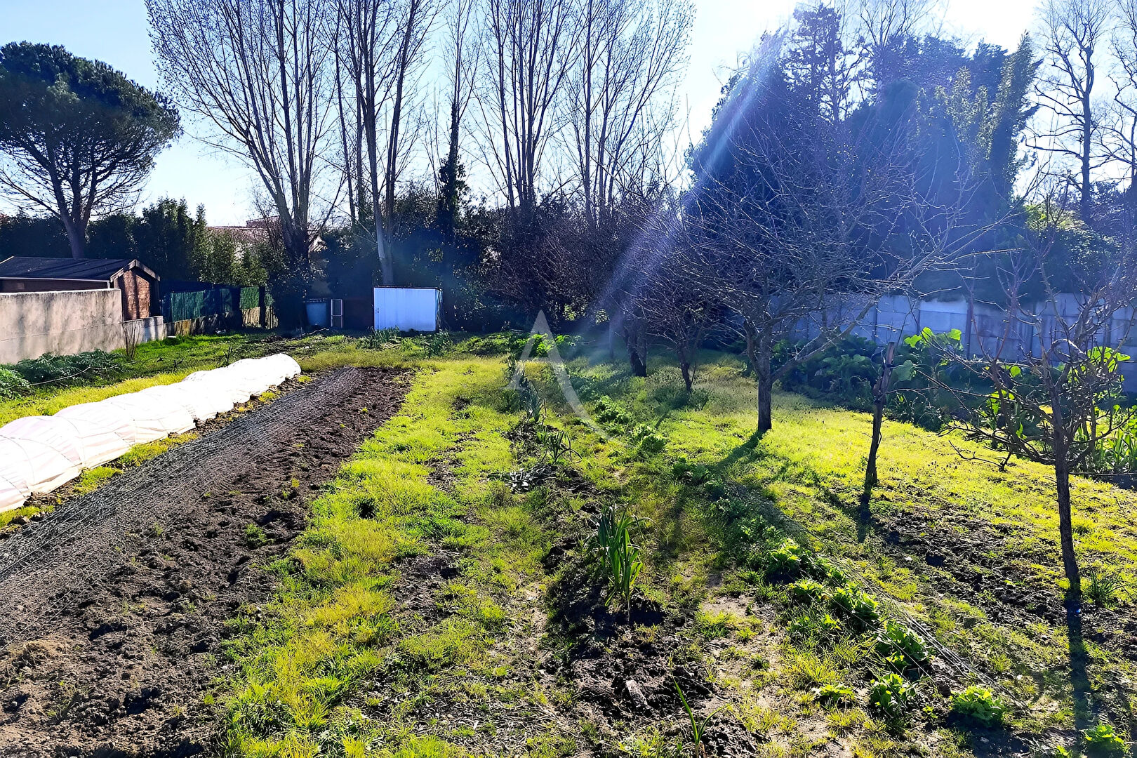 Agence immobilière de L'Adresse DYNAMIC IMMOBILIER - DYNAMIC IMMOBILIER