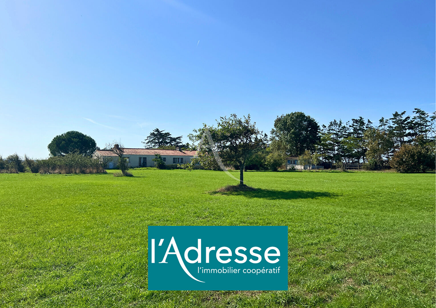 Longère Bouin 7 pièce(s) sur 19 hectares