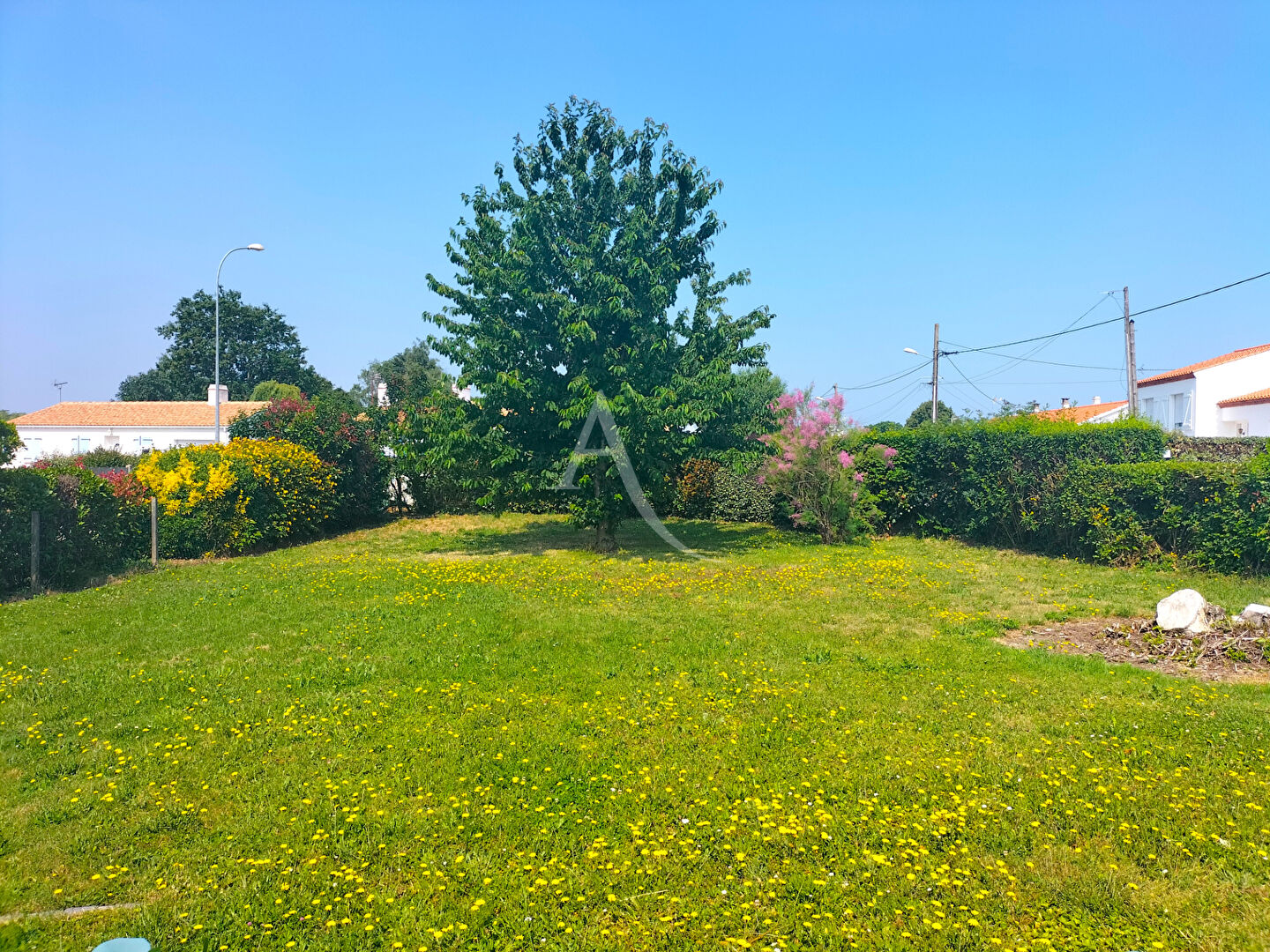 Photo Garage Beauvoir Sur Mer sur 534 m2 image 4/4