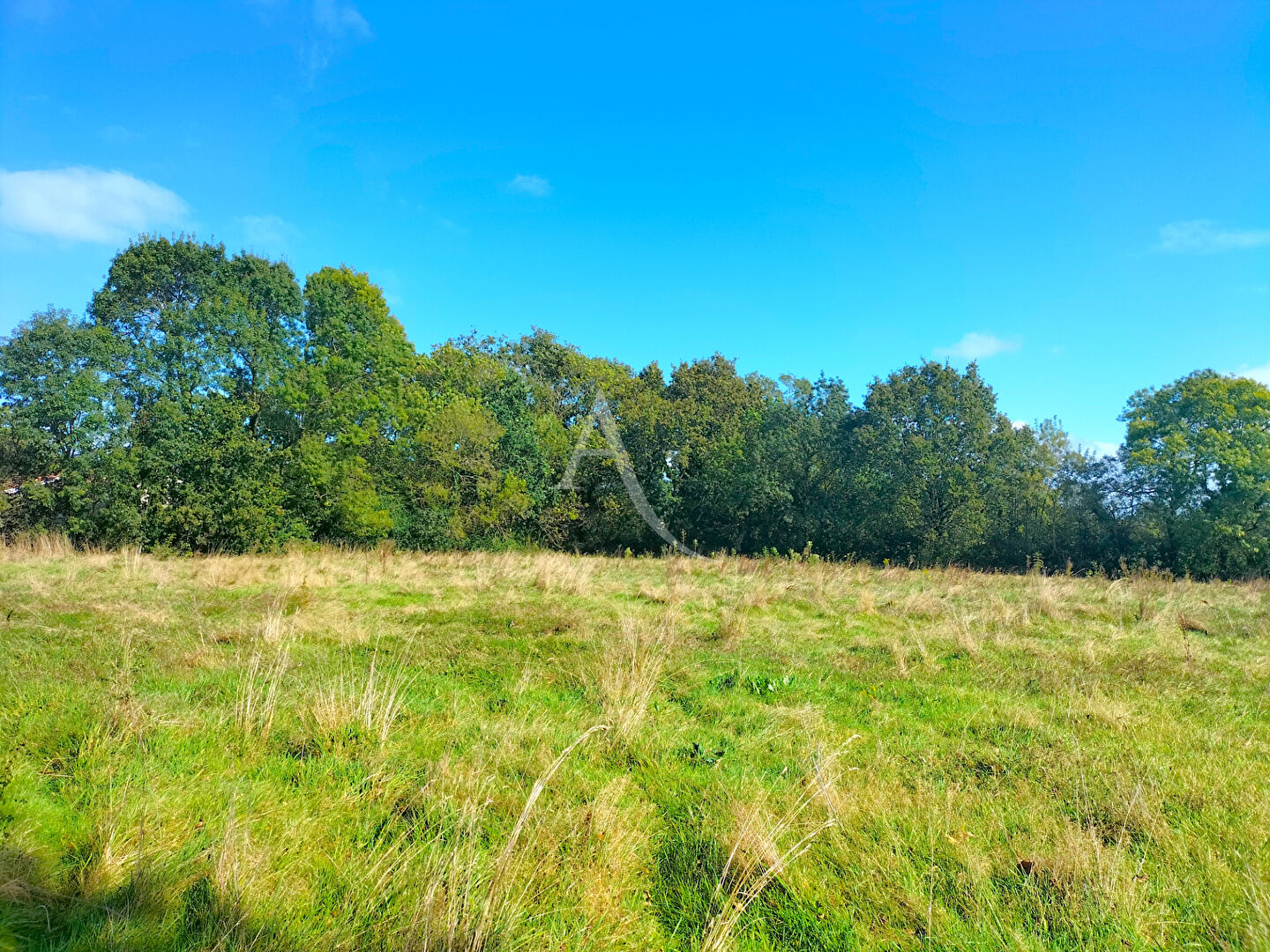 Photo Terrain St Gervais 483m2 image 2/3