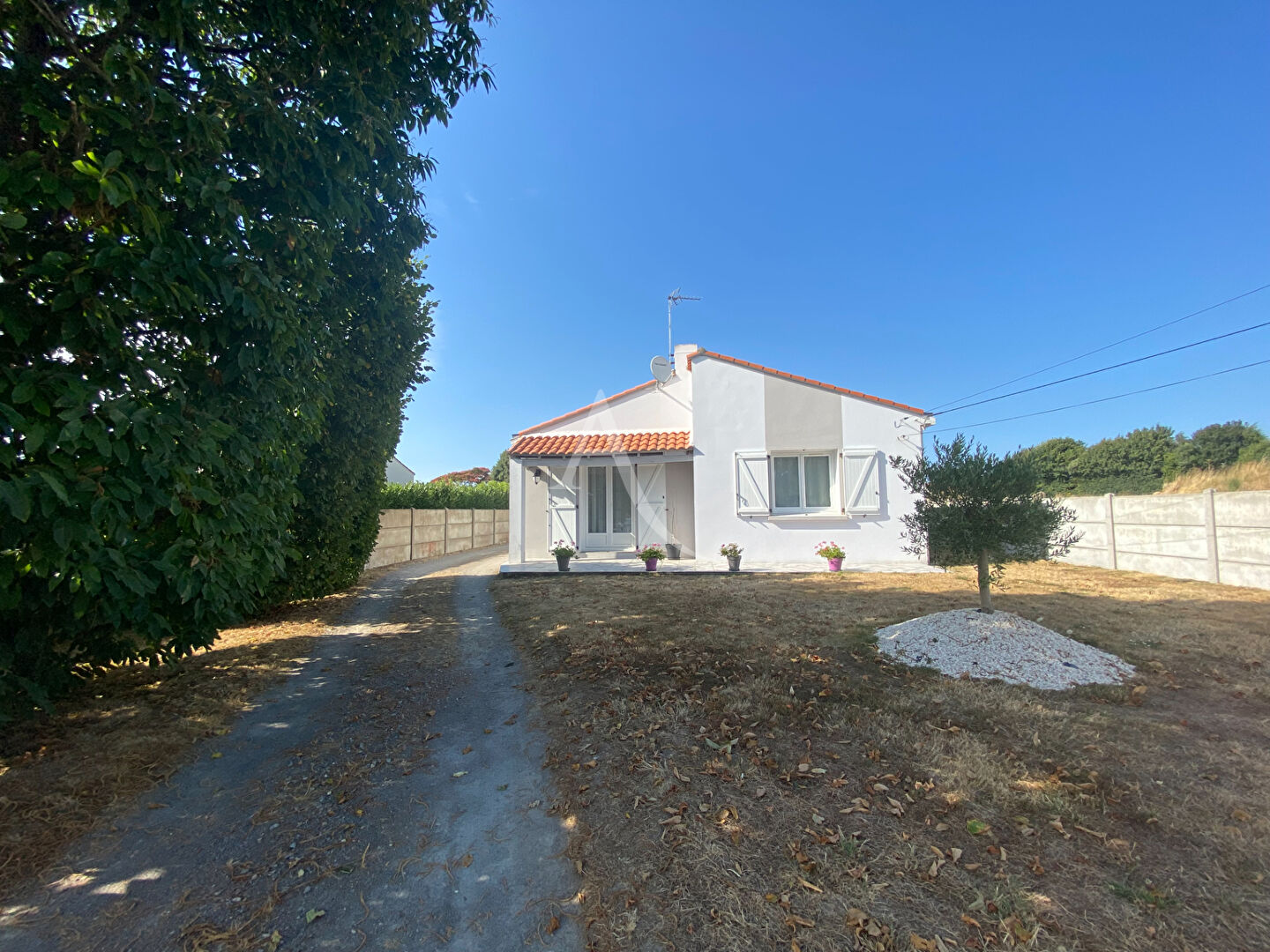 Agence immobilière de L'Adresse  bichon immobilier
