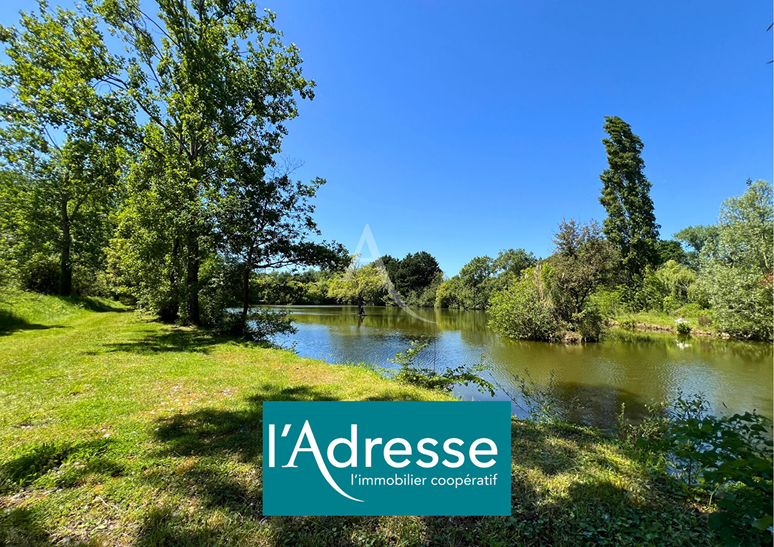 Agence immobilière de L'Adresse  bichon immobilier - L'ADRESSE bichon immobilier