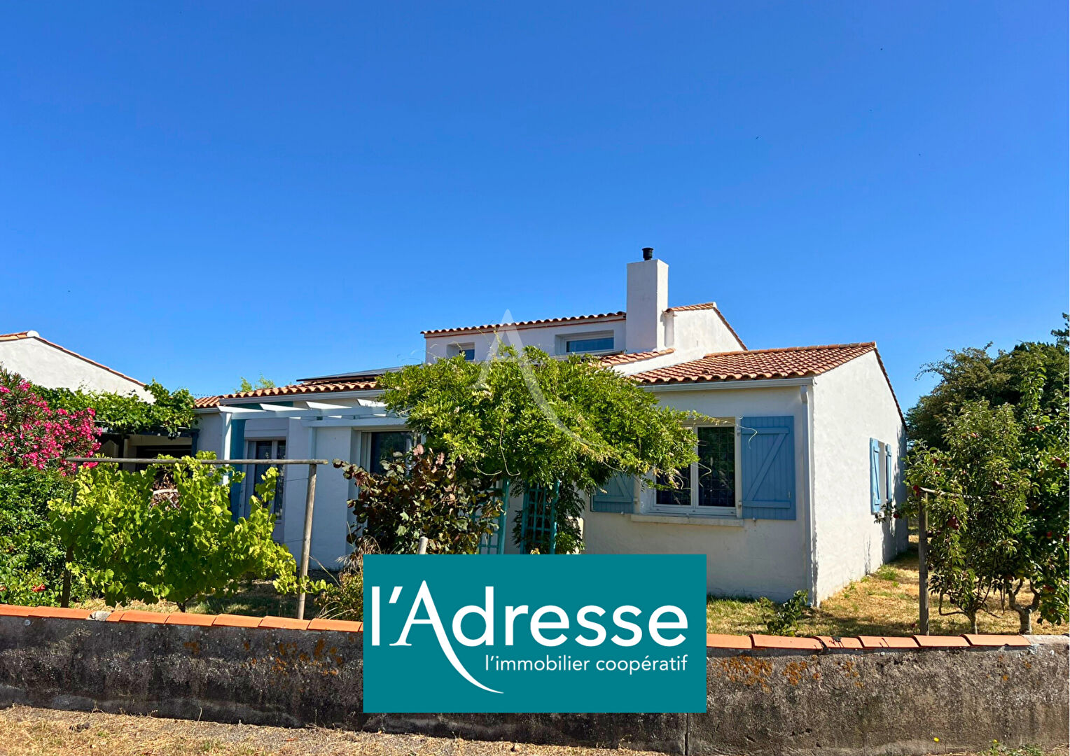 Agence immobilière de L'Adresse  bichon immobilier - L'ADRESSE bichon immobilier