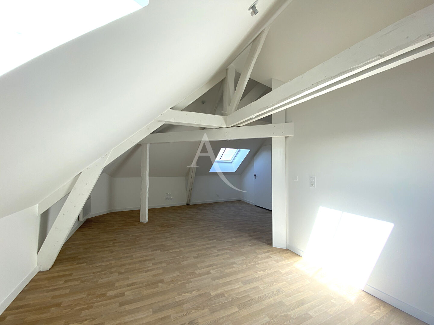Agence immobilière de L'Adresse  bichon immobilier
