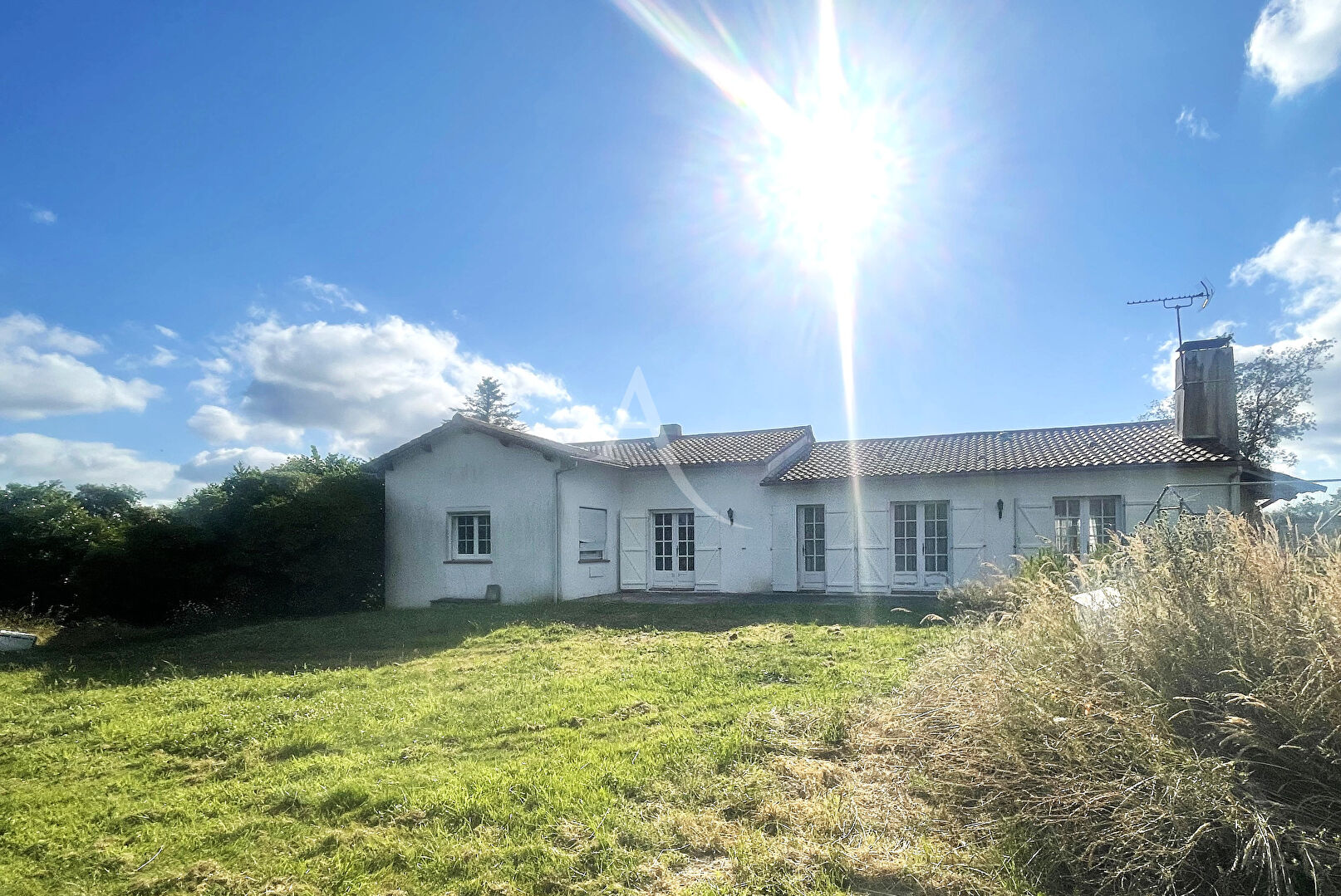 Agence immobilière de L'Adresse  bichon immobilier
