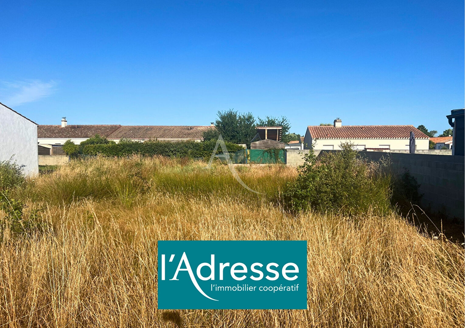 Agence immobilière de L'Adresse  bichon immobilier - L'ADRESSE bichon immobilier
