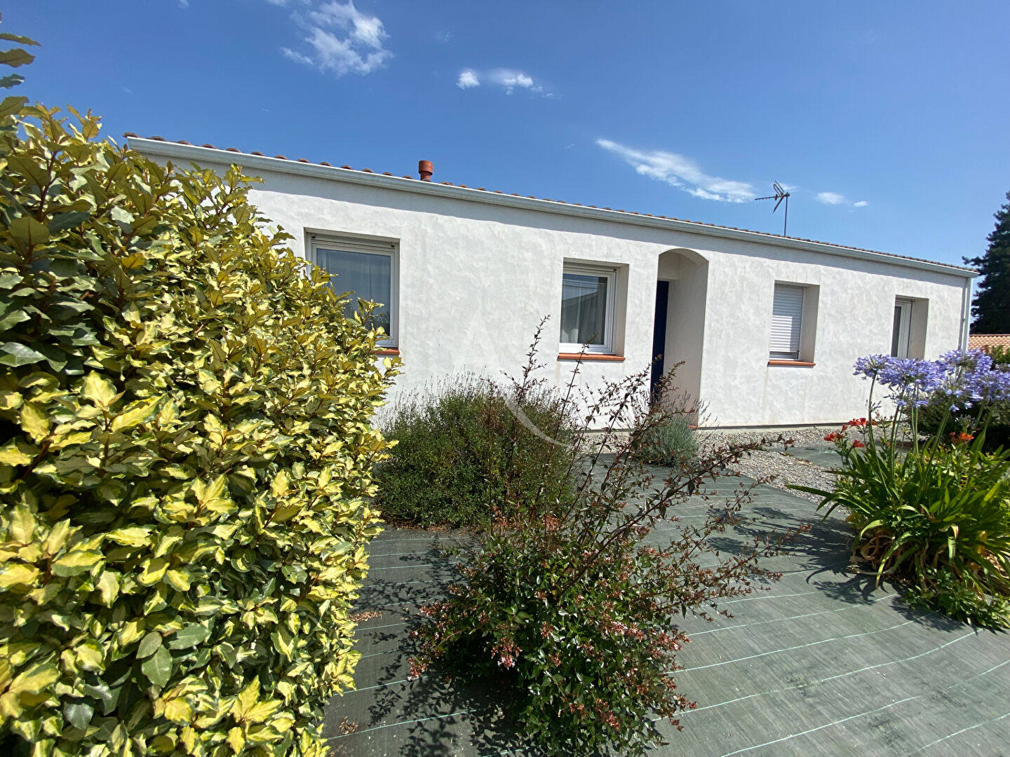 Agence immobilière de L'Adresse  bichon immobilier
