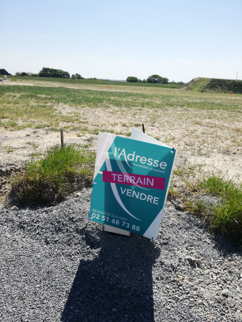 Agence immobilière de L'Adresse  bichon immobilier - L'ADRESSE bichon immobilier