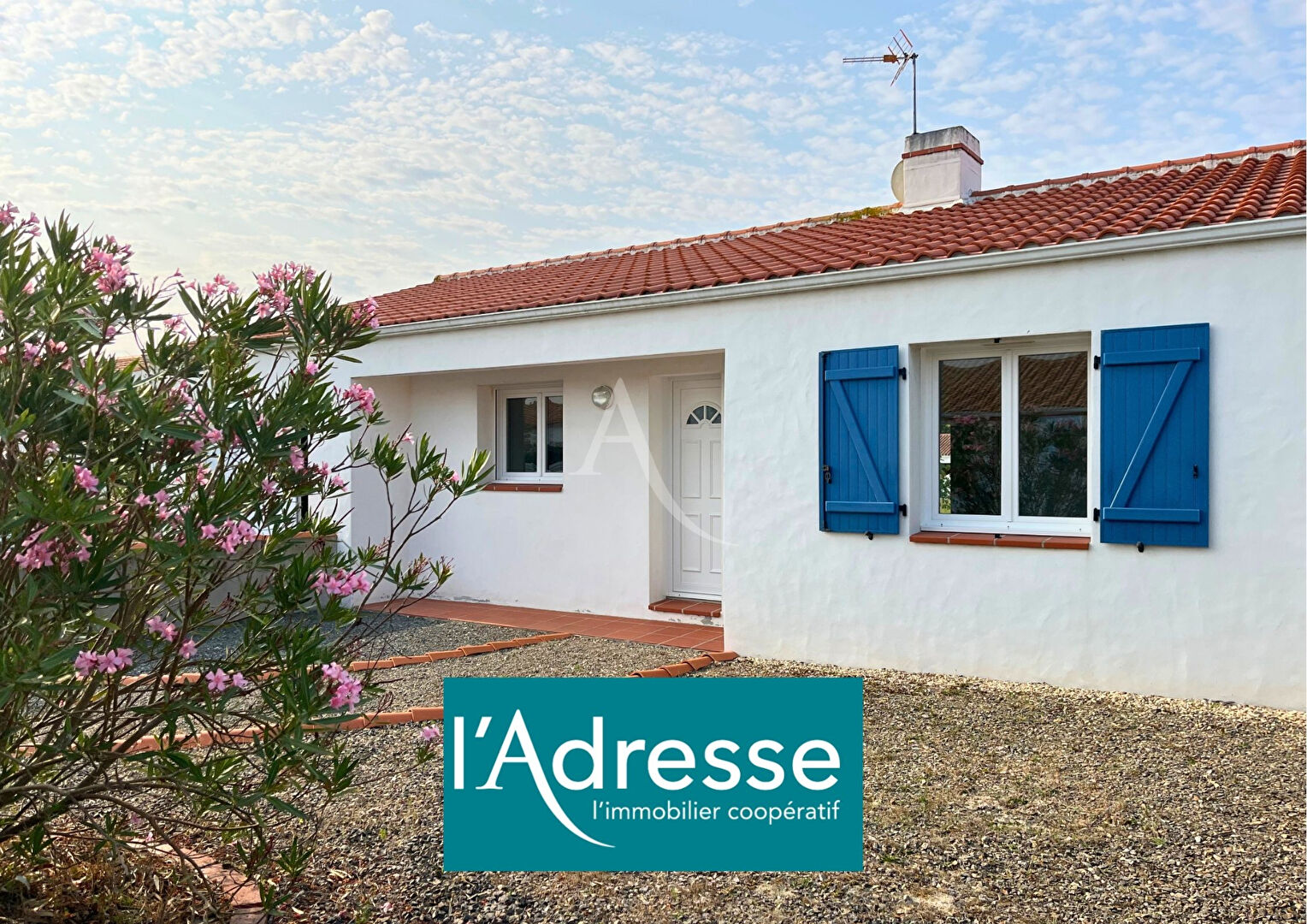 Agence immobilière de L'Adresse  bichon immobilier - L'ADRESSE bichon immobilier