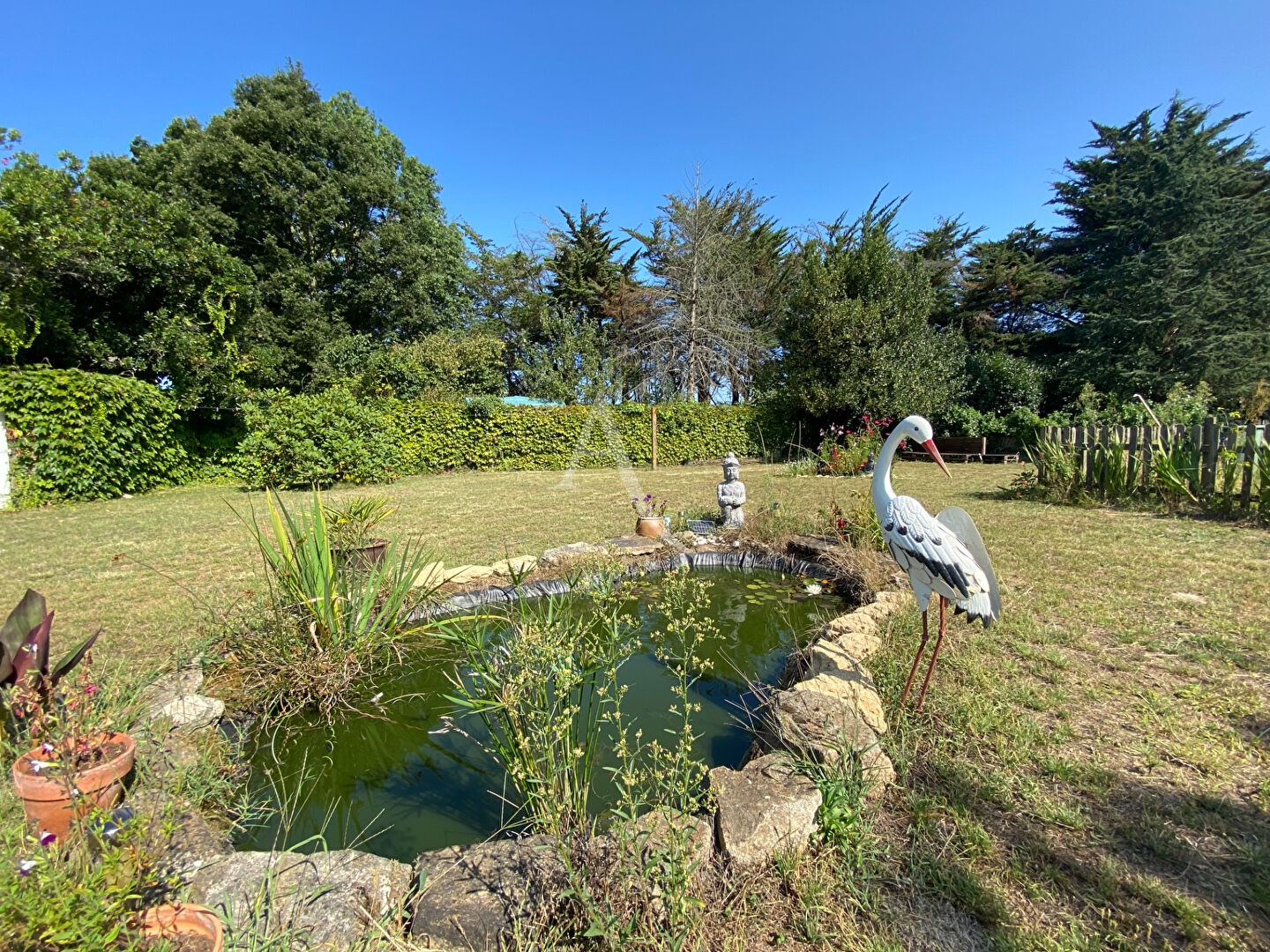 Agence immobilière de L'Adresse  bichon immobilier
