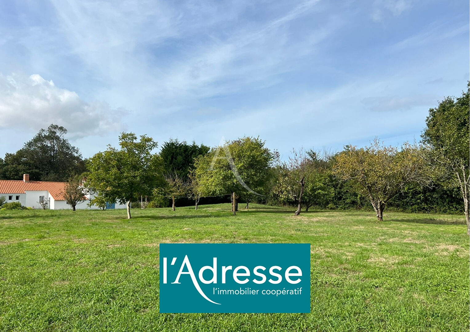 Agence immobilière de L'Adresse  bichon immobilier - L'ADRESSE bichon immobilier