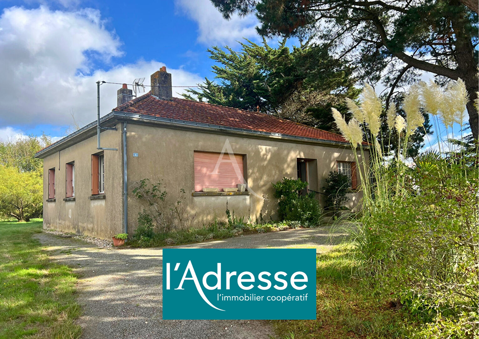 Agence immobilière de L'Adresse  bichon immobilier - L'ADRESSE bichon immobilier