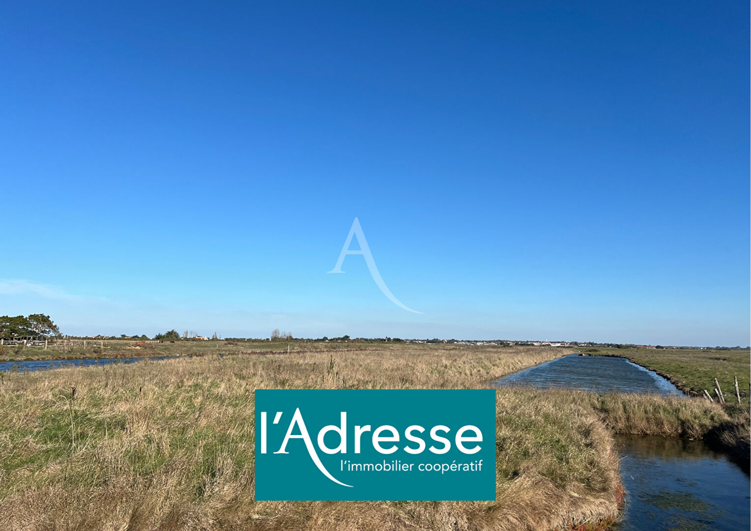 Terrain Beauvoir Sur Mer 6448 m2