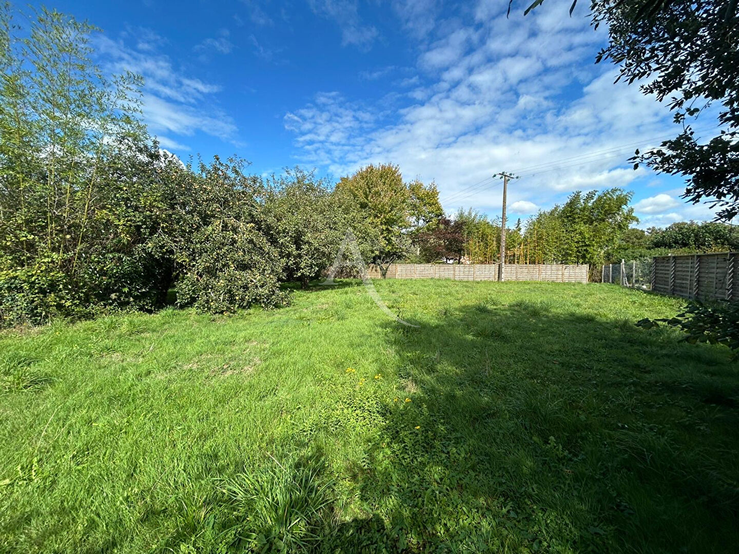 Agence immobilière de L'Adresse  bichon immobilier
