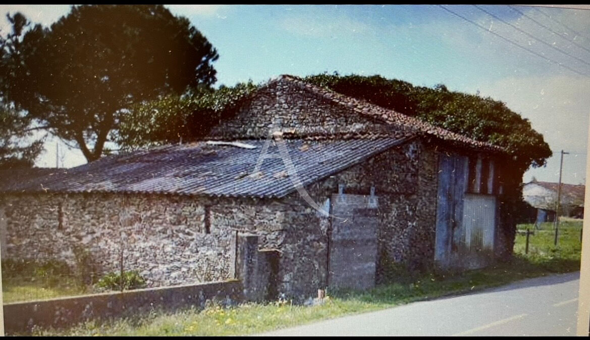 Agence immobilière de L'Adresse  bichon immobilier
