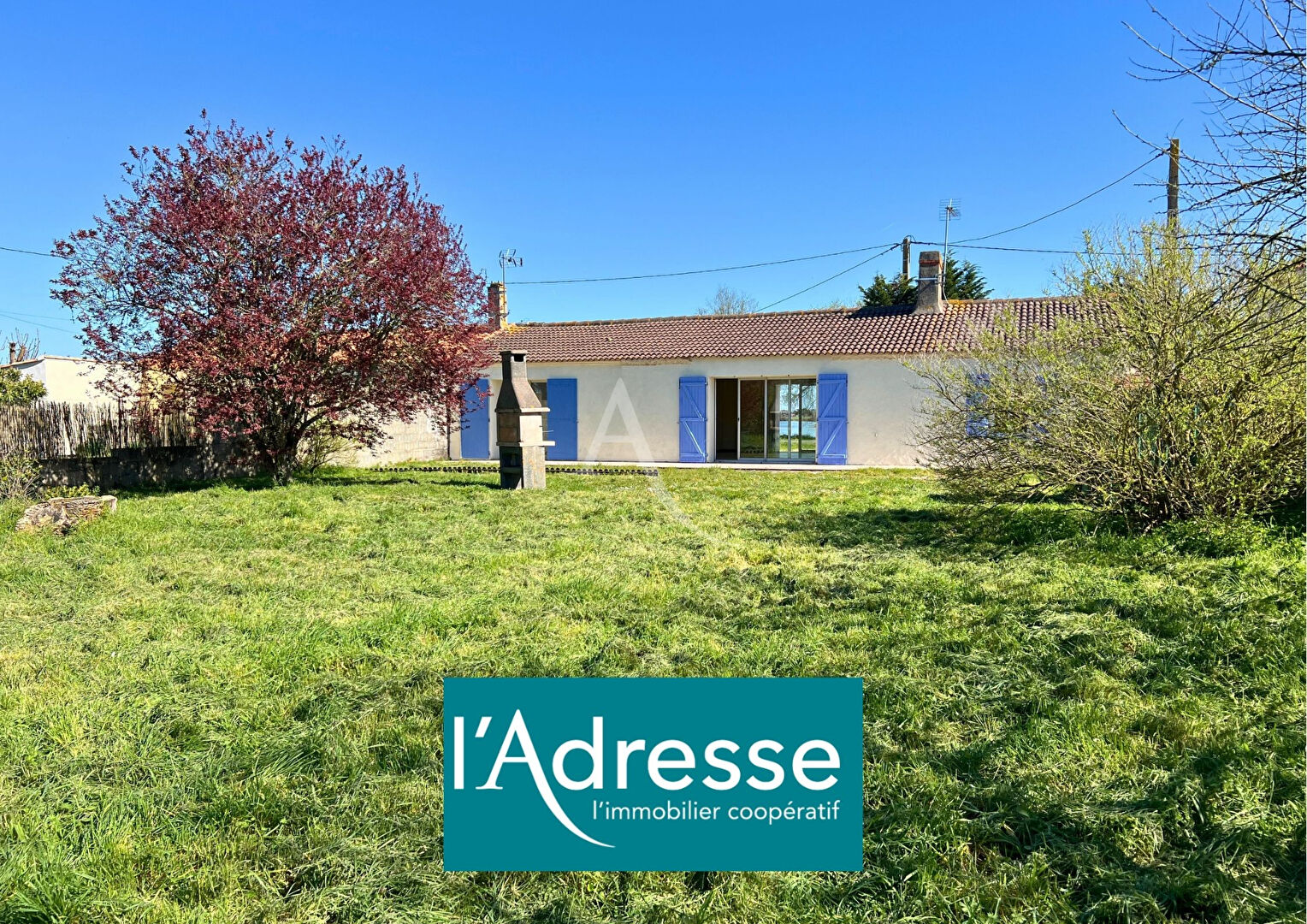 Agence immobilière de L'Adresse  bichon immobilier - L'ADRESSE bichon immobilier