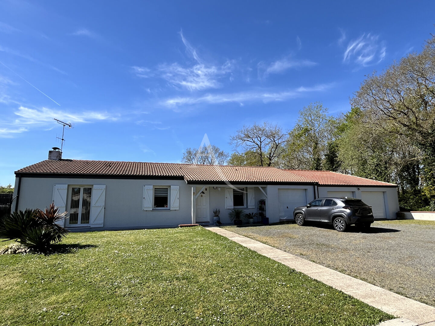 Agence immobilière de L'Adresse  bichon immobilier
