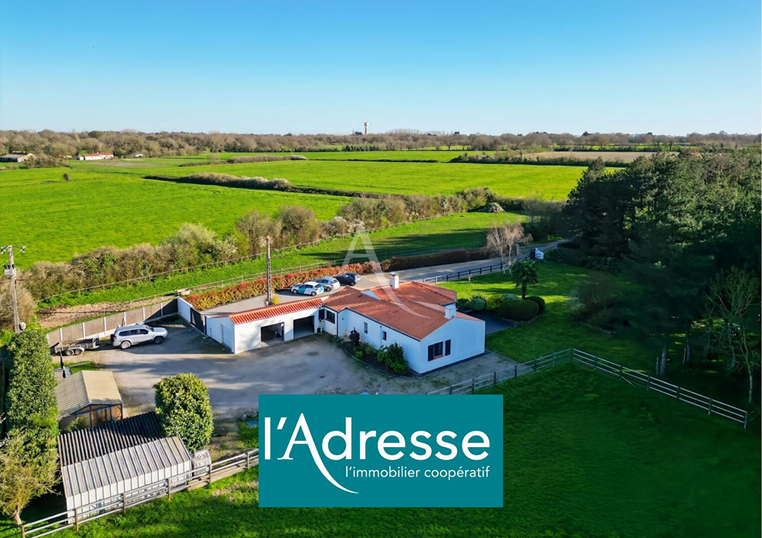 Agence immobilière de L'Adresse  bichon immobilier - L'ADRESSE bichon immobilier