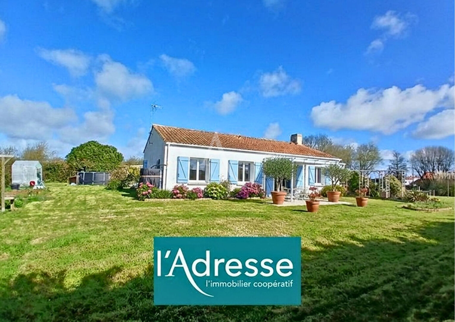 Agence immobilière de L'Adresse  bichon immobilier - L'ADRESSE bichon immobilier