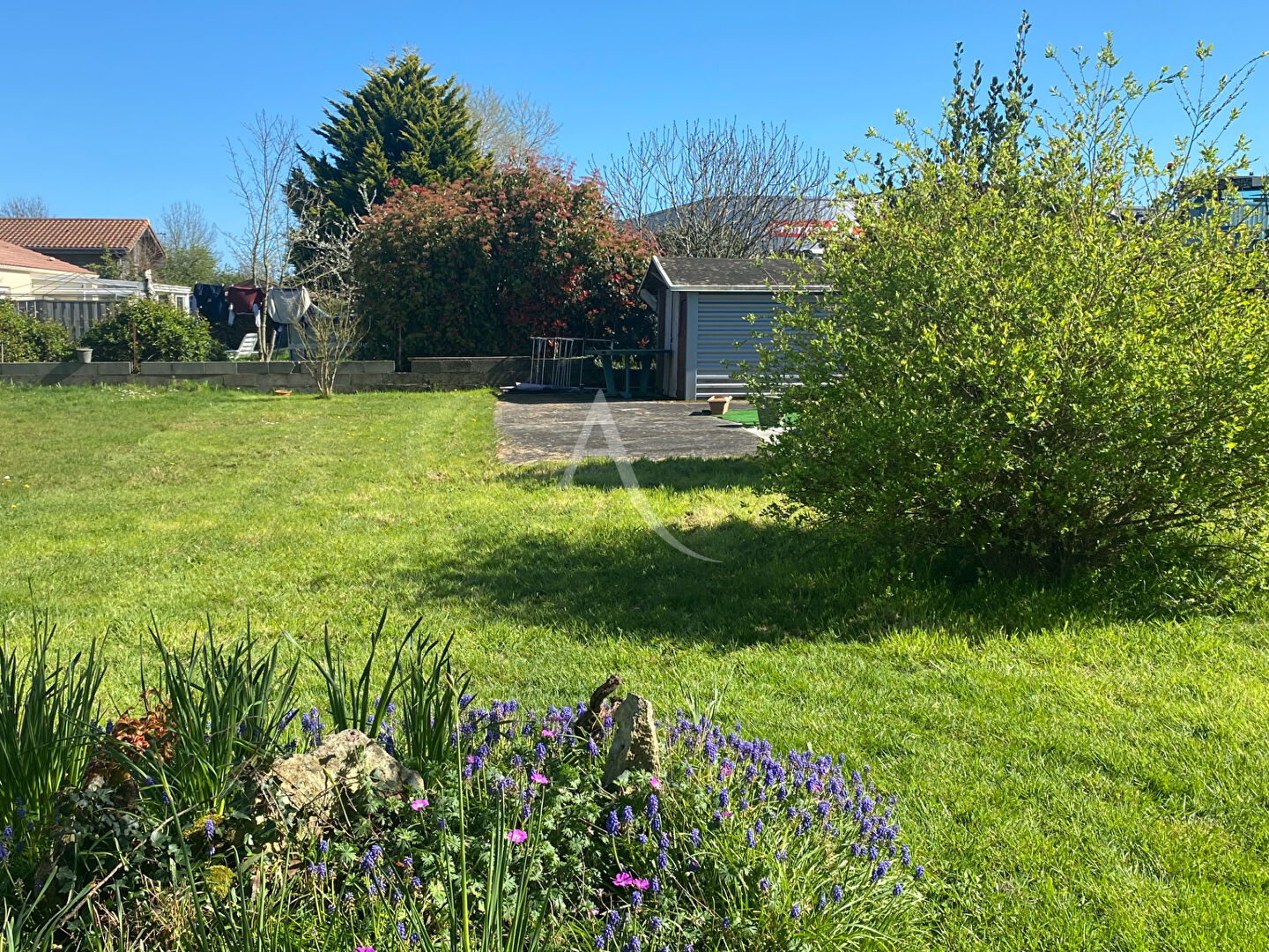 Agence immobilière de L'Adresse  bichon immobilier
