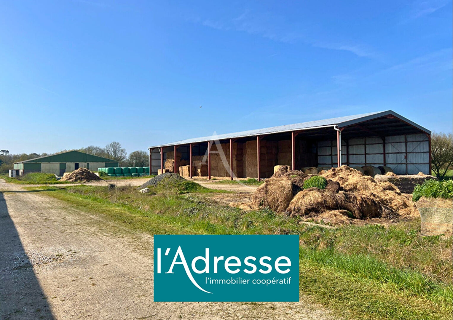 Agence immobilière de L'Adresse  bichon immobilier - L'ADRESSE bichon immobilier