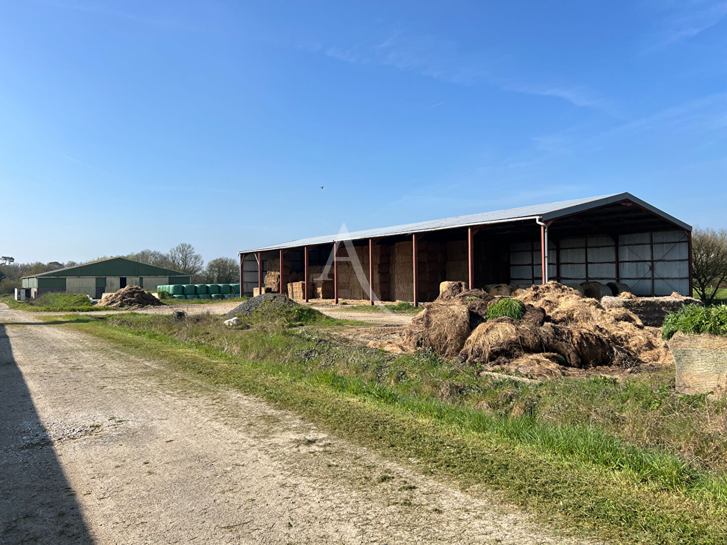 Agence immobilière de L'Adresse  bichon immobilier - L'ADRESSE bichon immobilier