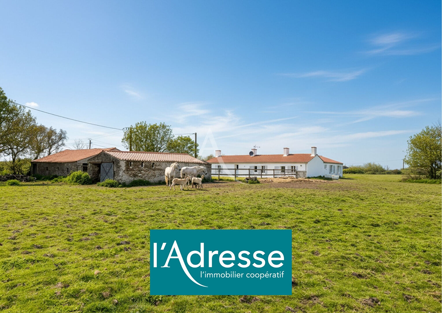 Agence immobilière de L'Adresse  bichon immobilier - L'ADRESSE bichon immobilier