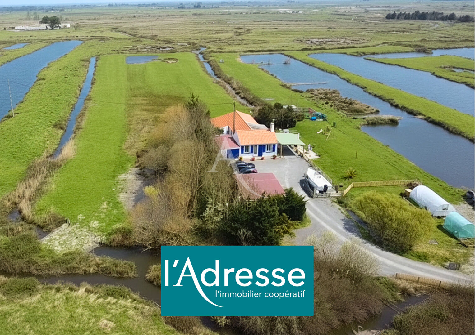 Agence immobilière de L'Adresse  bichon immobilier - L'ADRESSE bichon immobilier