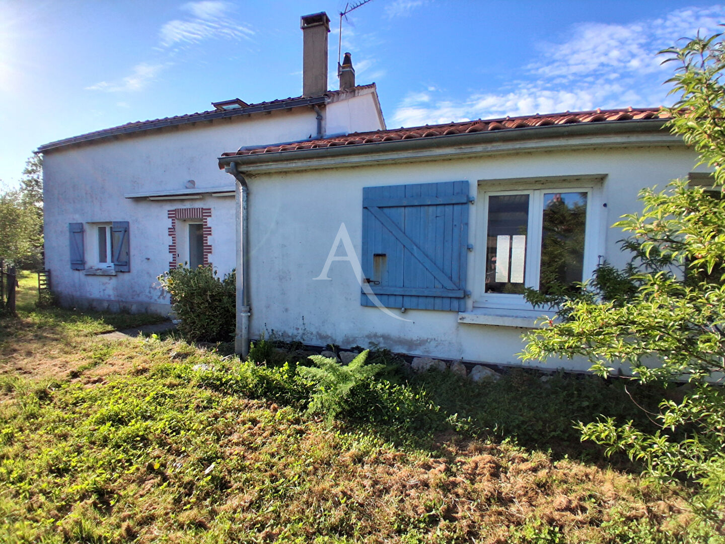 Agence immobilière de L'Adresse  bichon immobilier
