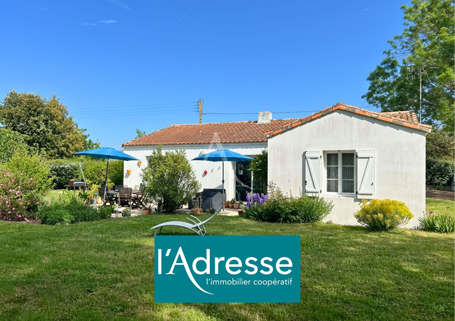 Agence immobilière de L'Adresse  bichon immobilier - L'ADRESSE bichon immobilier
