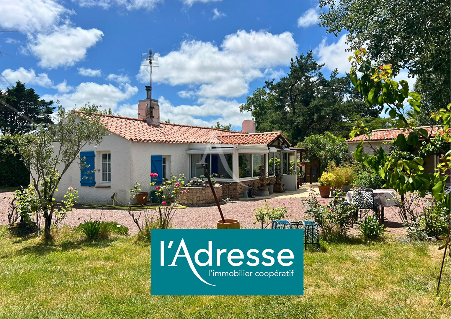Agence immobilière de L'Adresse  bichon immobilier - L'ADRESSE bichon immobilier