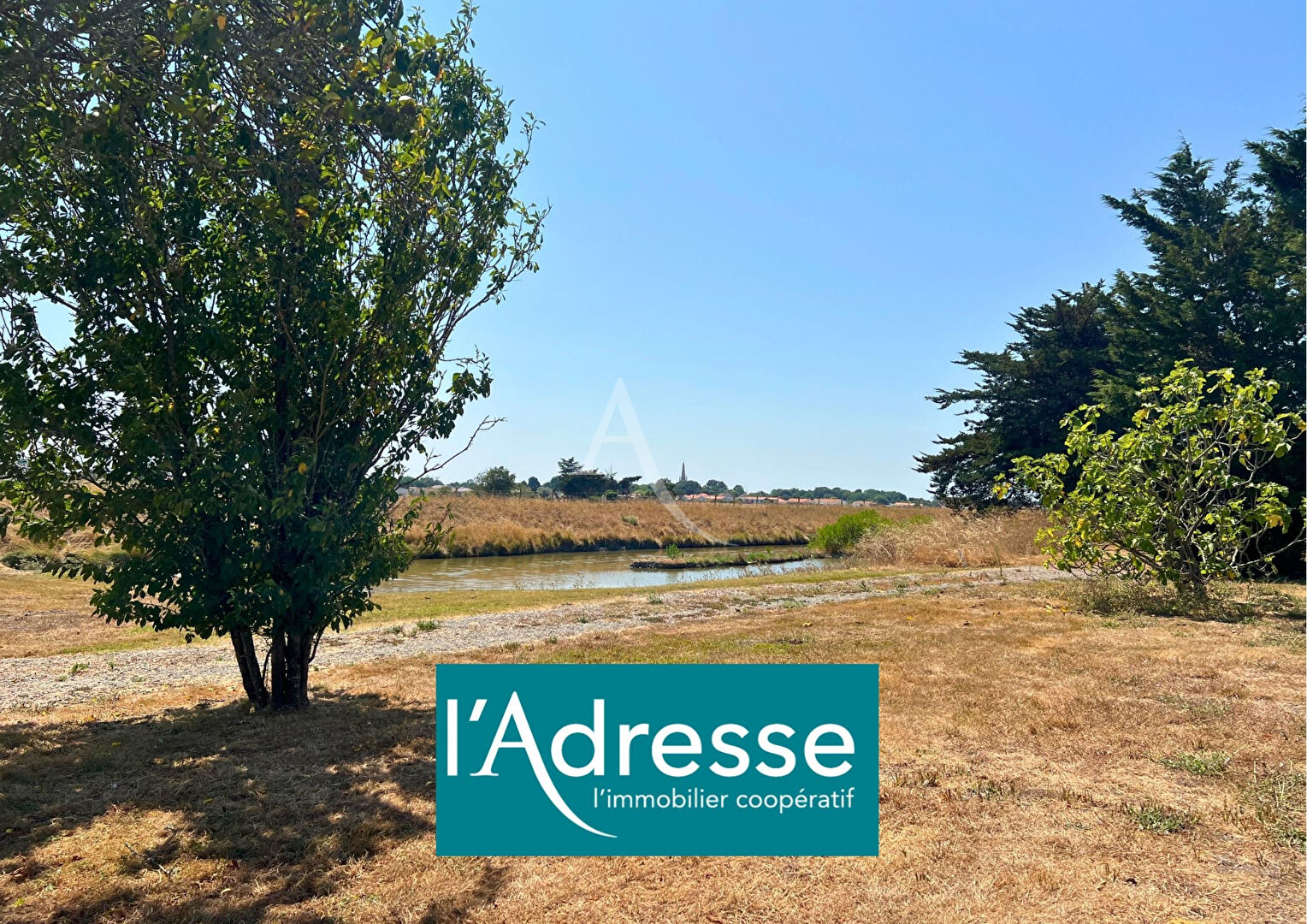 Agence immobilière de L'Adresse  bichon immobilier - L'ADRESSE bichon immobilier