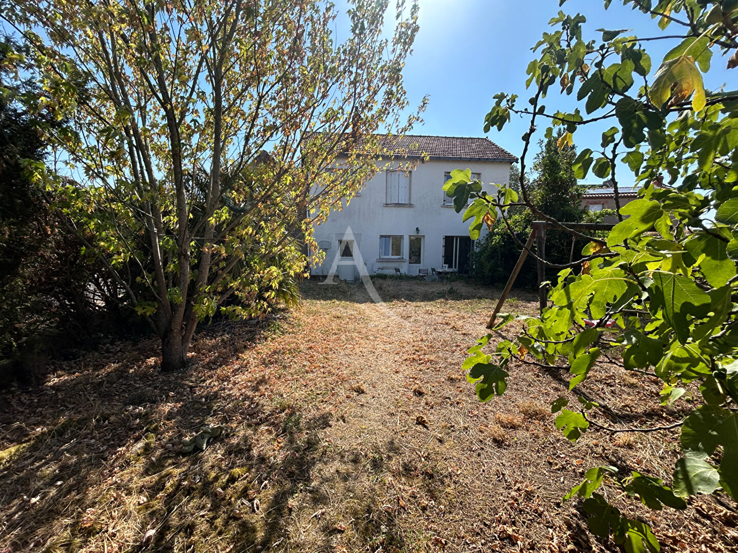 Agence immobilière de L'Adresse  bichon immobilier
