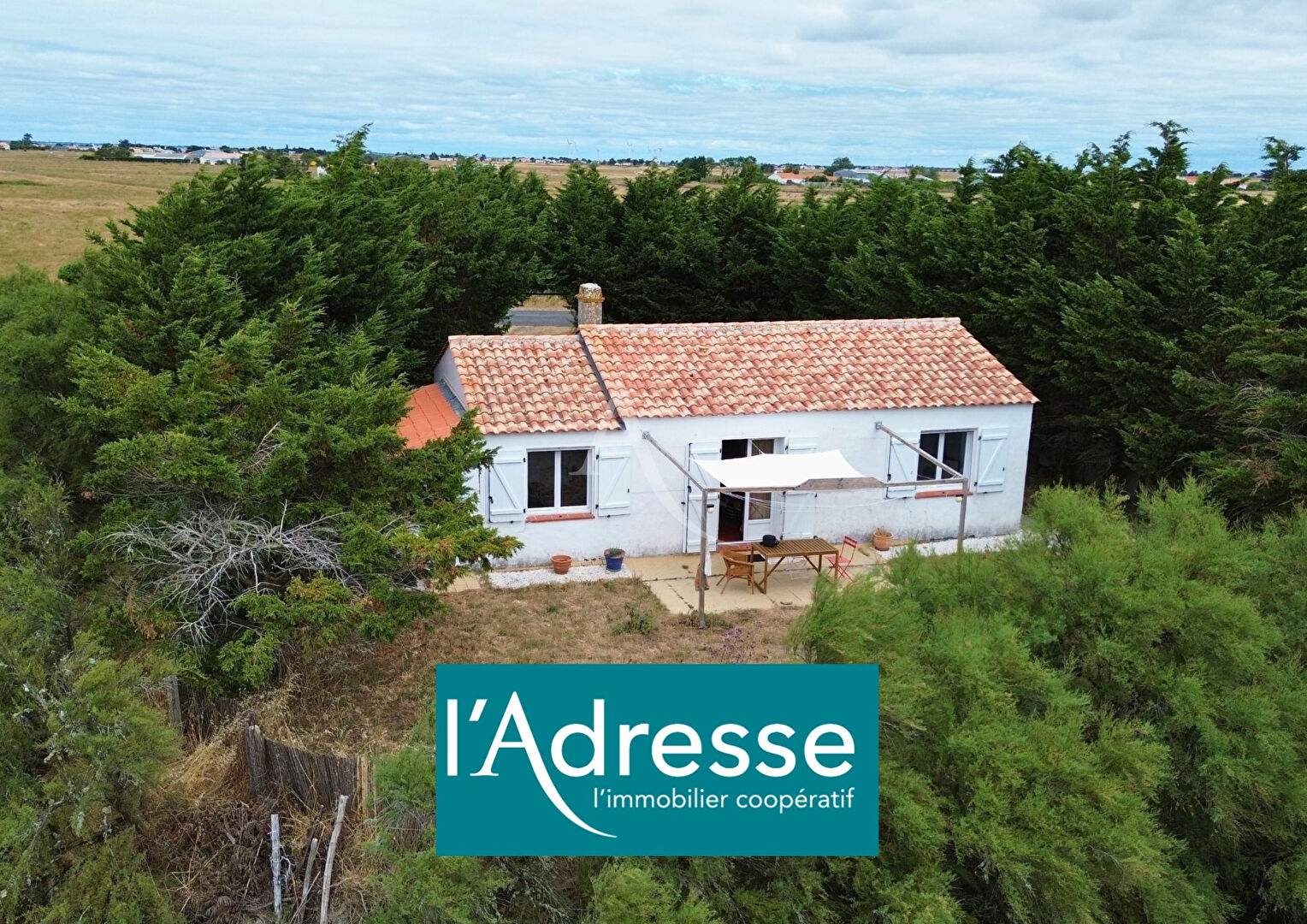 Agence immobilière de L'Adresse  bichon immobilier - L'ADRESSE bichon immobilier