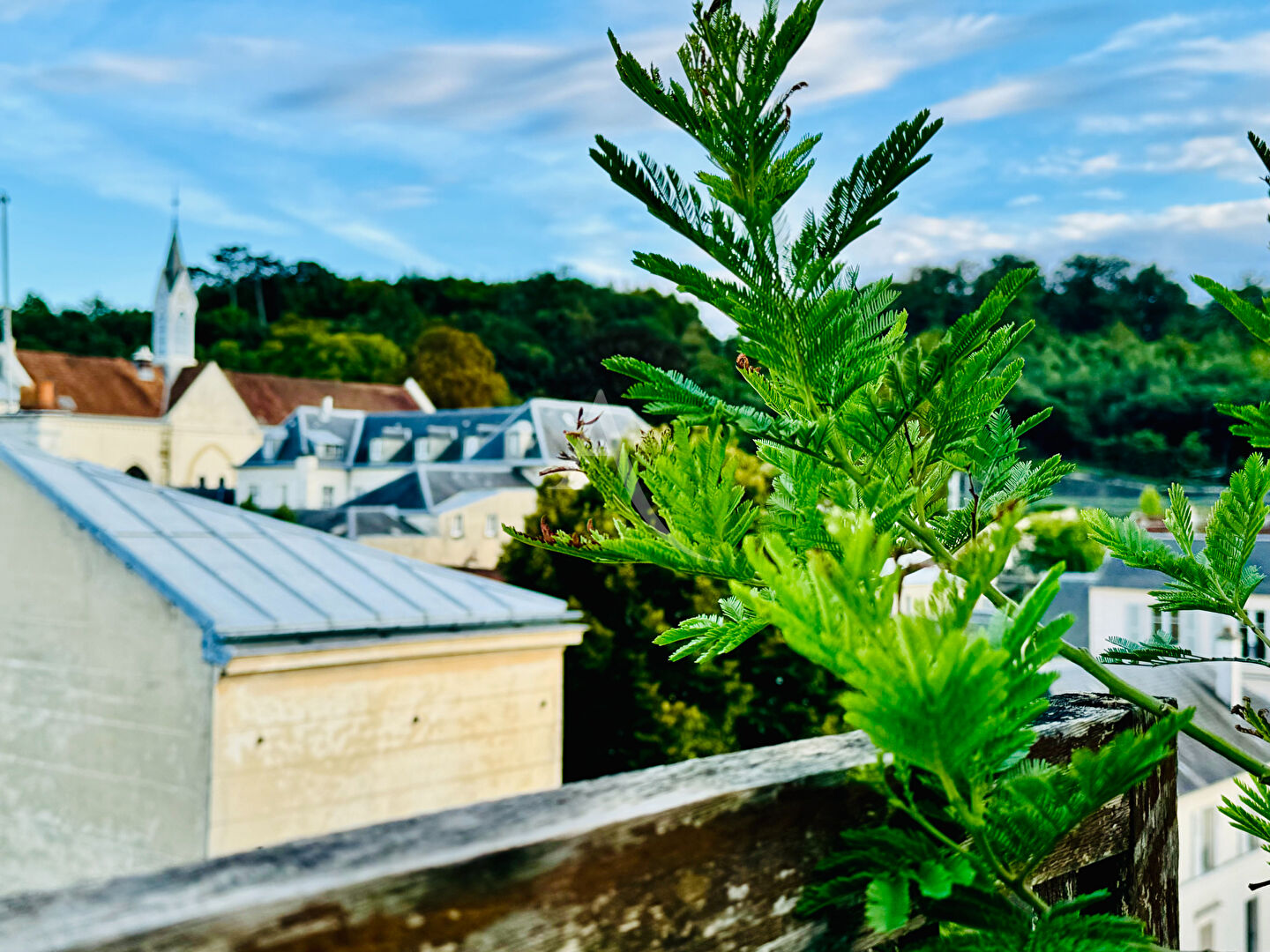 Agence immobilière de 
 L'Adresse Chaville Viroflay - L'ADRESSE Agence Immo Chaville Viroflay 
