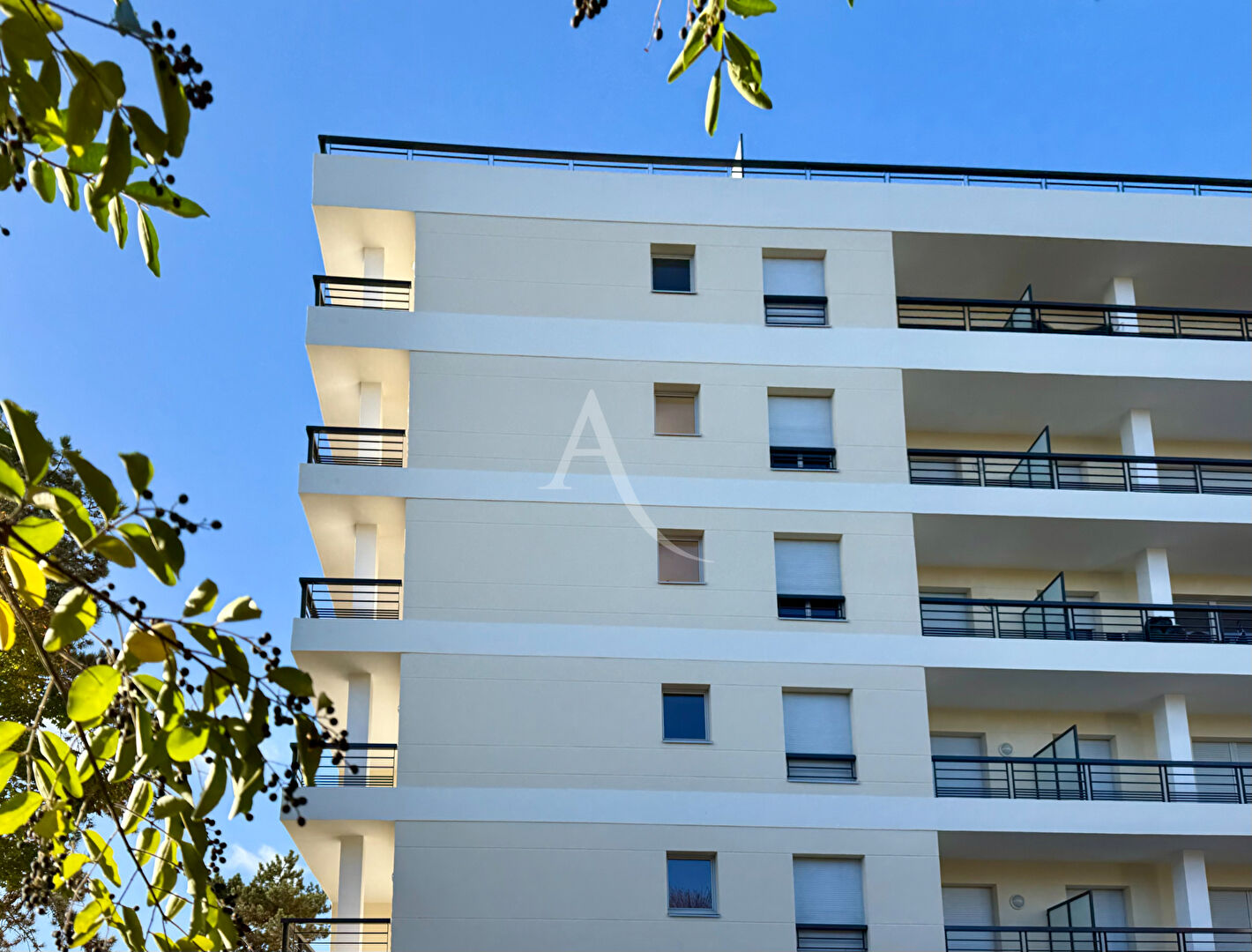 Photo Appartement 3 pièces 76 m² à vendre Versailles Montreuil  Terrasse, balcon, ascenseur parking, cave image 3/6