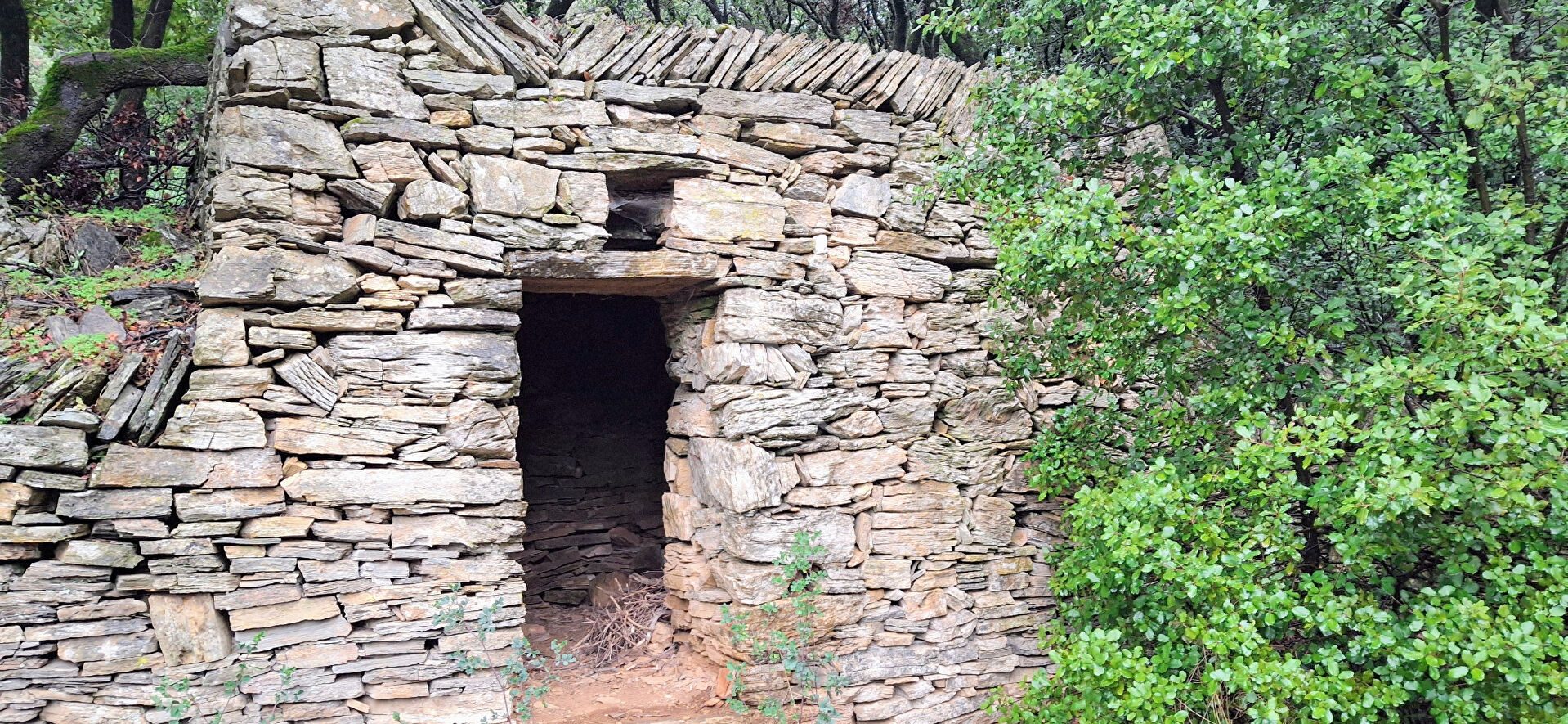 Agence immobilière de L'Adresse  Viagence Cévennes - L'ADRESSE Viagence Cévennes