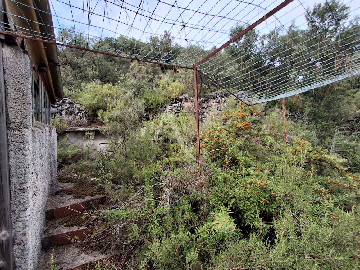 Photo A BEDARIEUX TERRAIN DE LOISIRS AVEC MAZETS image 2/6